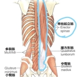 重だるい腰痛
