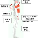 腰椎平坦。骨盤ニュートラル