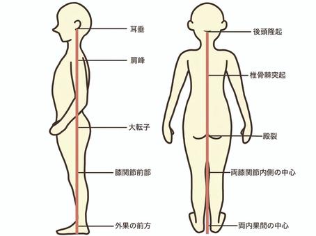 重心線について