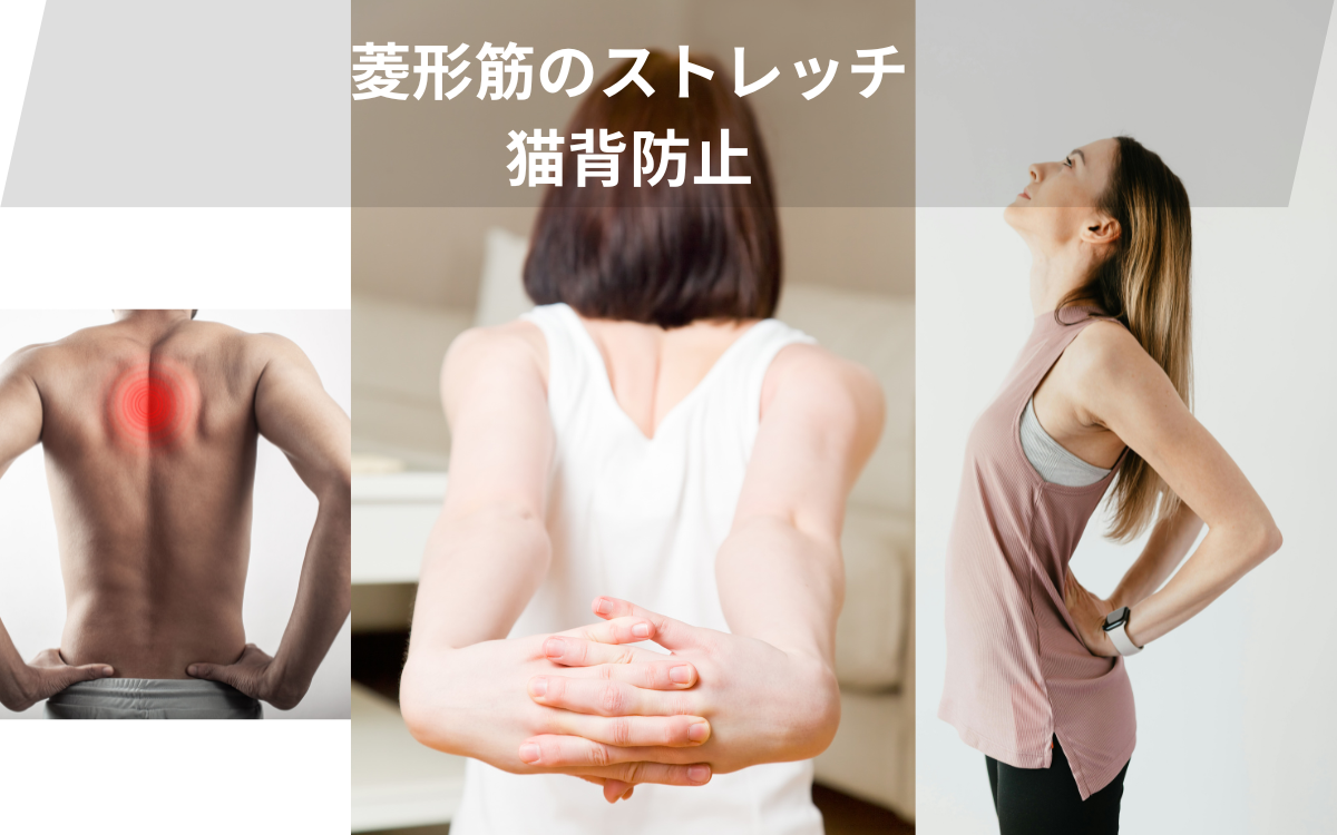 菱形筋の筋トレ